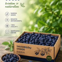 Rankomis skintos Sausmedžio uogos 250 gr